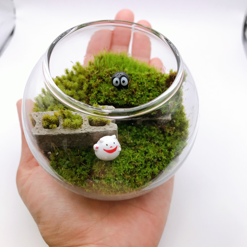 苔テラリウム☆招き猫・ブロック・黒豆くん その他インテリア雑貨