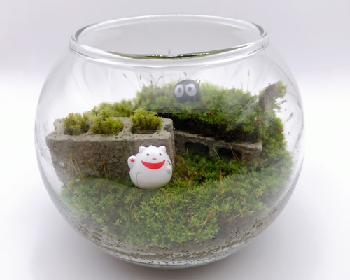 苔テラリウム☆招き猫・ブロック・黒豆くん その他インテリア雑貨