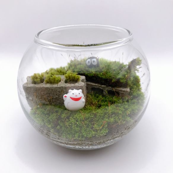 苔テラリウム☆招き猫・ブロック・黒豆くん その他インテリア雑貨