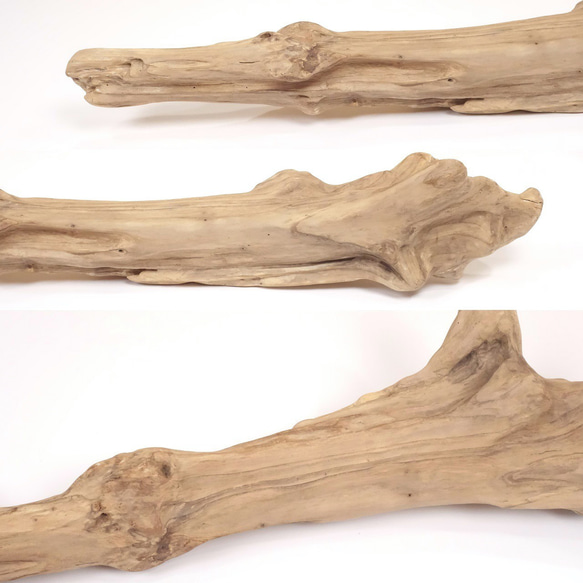 【温泉流木】広がりを見る幹流木 流木素材 インテリア 素材 レイアウト 木材 5枚目の画像