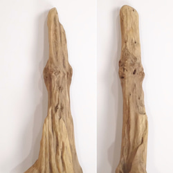 【温泉流木】広がりを見る幹流木 流木素材 インテリア 素材 レイアウト 木材 2枚目の画像