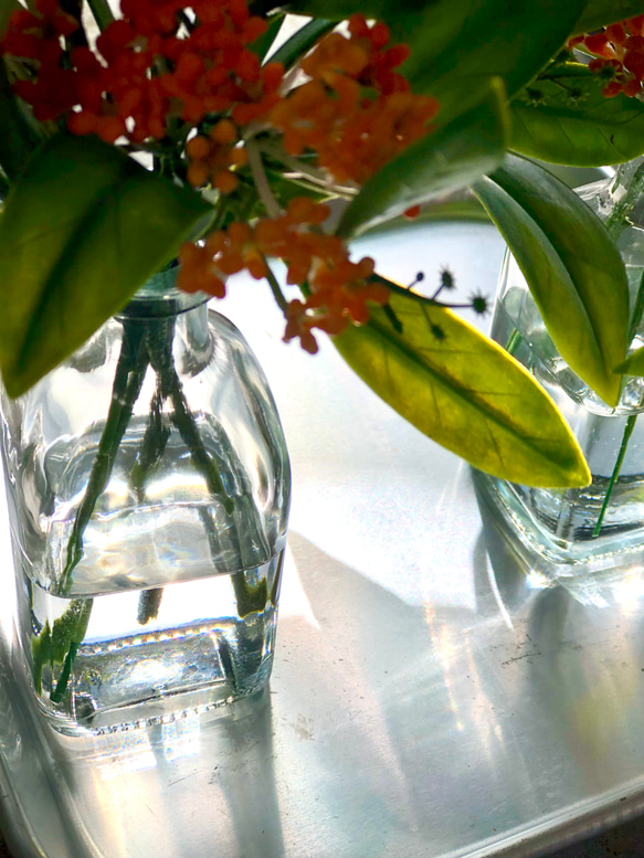 【特集掲載】金木犀の香りも届けたい！キンモクセイのキャンドルとマジカルウォーターアレンジのセット　 16枚目の画像