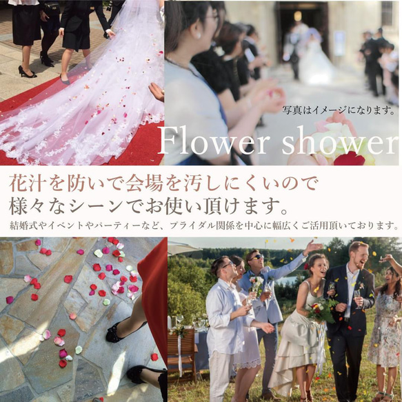 フラワーシャワー 約1000枚 結婚式 ウェディング 造花 花びら たっぷり イベント 3色の組み合わせ【リッチブルー】 7枚目の画像