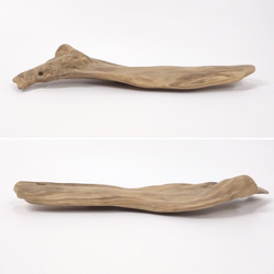 【温泉流木】平たくなめらか台座にもなる美しい流木 流木素材 インテリア 素材 レイアウト 木材 3枚目の画像
