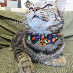 新 猫の首輪～ハロウィンリボン× PPテープ日本製 4枚目の画像
