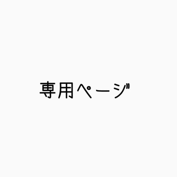 専用ページ 1枚目の画像