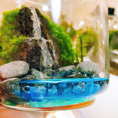 滝から実際に水の流れる 苔 テラリウム コケリウム 専用照明付