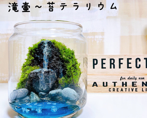 滝壷】苔テラリウム レジンアート テラリウム 苔の都