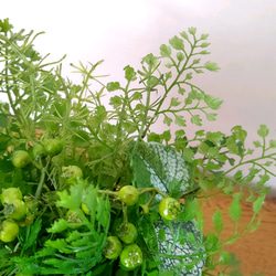 フェイクグリーンの鉢植え(グリーンミックス) ／ストーンポット  人工観葉植物 3枚目の画像
