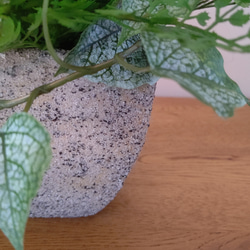 フェイクグリーンの鉢植え(グリーンミックス) ／ストーンポット  人工観葉植物 5枚目の画像