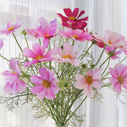 コスモス・4色の秋を楽しむ秋桜の花 ～ ガラスとクリアジェルの透明感でリラックス・クリアタグカード付・無料セロファンR 4枚目の画像