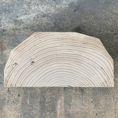 巨木の多面カットのディスプレイ(大)】切り株 スツール 植物置き