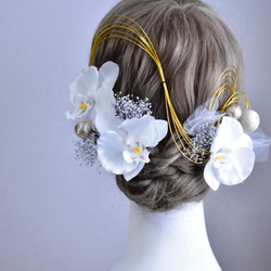 金箔選択可 胡蝶蘭 水引 プリザーブドフラワー　ヘッドドレス ヘアアクセサリー　結婚式 成人式 和装 髪飾り 白 1枚目の画像