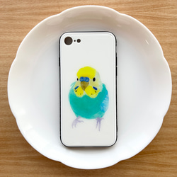 p-jet　セキセイインコ　レインボー　（強化ガラス　スマホケース  iPhone ） iPhone15　/ 鳥 インコ 1枚目の画像