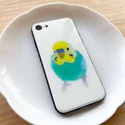 p-jet　セキセイインコ　レインボー　（強化ガラス　スマホケース  iPhone ） iPhone15　/ 鳥 インコ 2枚目の画像