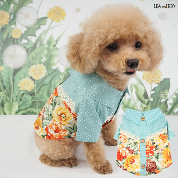 シャツ トップス 花柄 ドット柄 レース お揃い ドックウェア 犬 猫 服