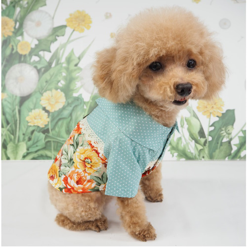 犬用オーダーメイドドレス」が南青山・人気ドレスサロンから、花嫁と