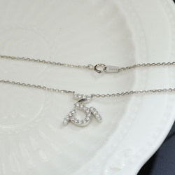 ひらがなネックレス（4週間発送） 16枚目の画像