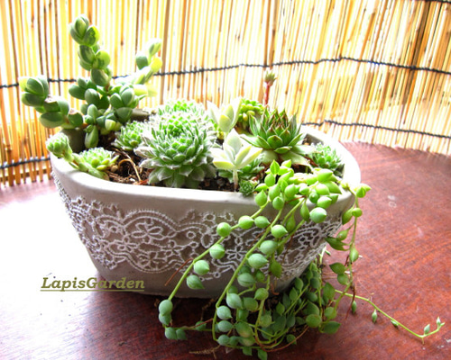 b38f0c9dd203e149c0f7bfb71f1c54