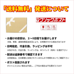 ダッフィー 着せ替え コスチューム 巾着付 羽織袴セット No.54 本体無 SSサイズ用 送料無料 6枚目の画像