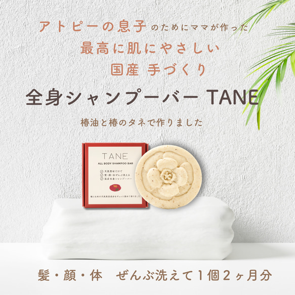 椿の全身シャンプーバー  TANE（認可済化粧品） 2枚目の画像