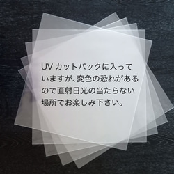 レコードジャケット風アート【レコード盤なし】スタジオBANANA_c116 7枚目の画像