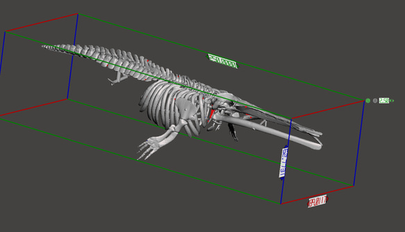 【受注生産】化石種のヒゲクジラ「ケトテリウム」全身骨格レプリカ 9枚目の画像