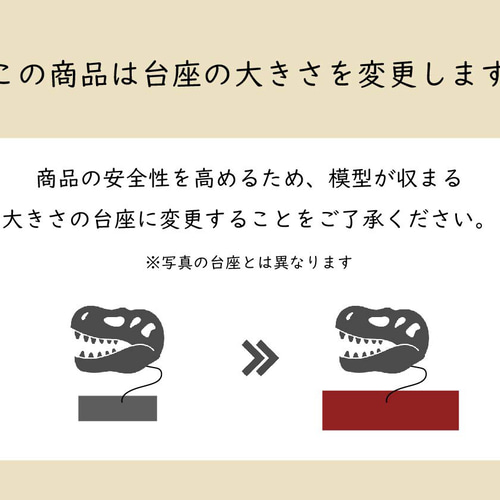本物 オビラプトル 後肢骨 化石 専用台座付き