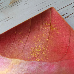 【ONLY ONE ART】アクセサリートレイ（ラメ/ピンク/スクエア)天然の葉を用いるボタニーペインティング装飾　 3枚目の画像