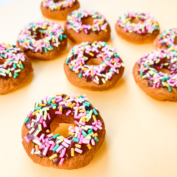 classic-donuts / ドーナツ ブローチ 6枚目の画像