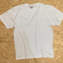 紋付Tシャツ／襟下紋付カラフルヤモリ【受注生産】 8枚目の画像