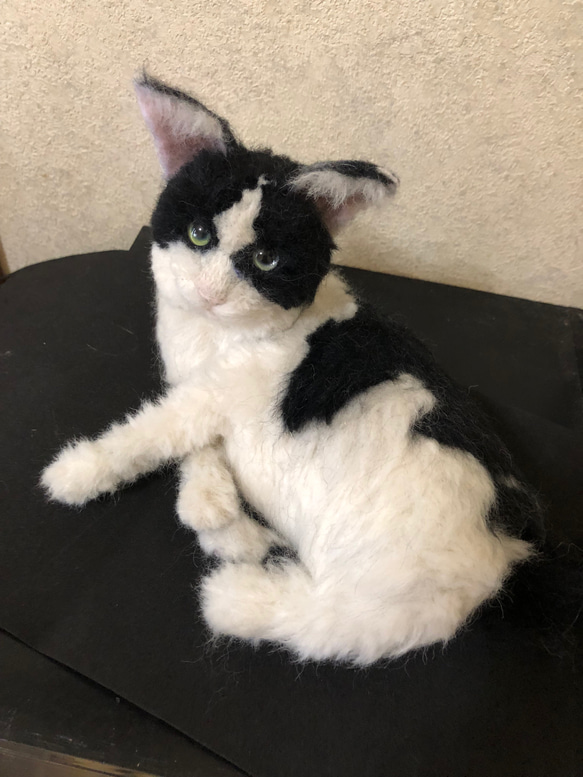 羊毛フェルト 猫 オーダーメイド受付 キジトラ ハチワレ猫 等 羊毛