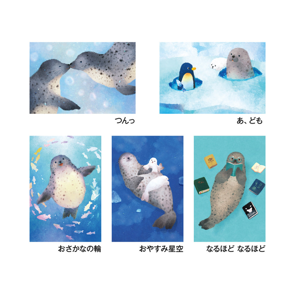 ゴマフアザラシポストカード［ごまふふセット］5枚入り 3枚目の画像