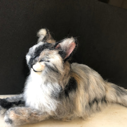 羊毛フェルト　猫　オーダーメイド受付　 4枚目の画像