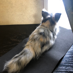 羊毛フェルト　猫　オーダーメイド受付　 6枚目の画像