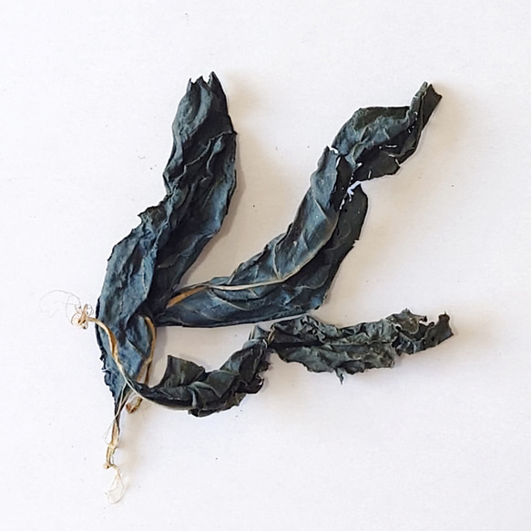 藍（タデアイ）乾燥藍葉（葉）50g ◆ 草木染（材料）天然・草木染植物染料 2枚目の画像