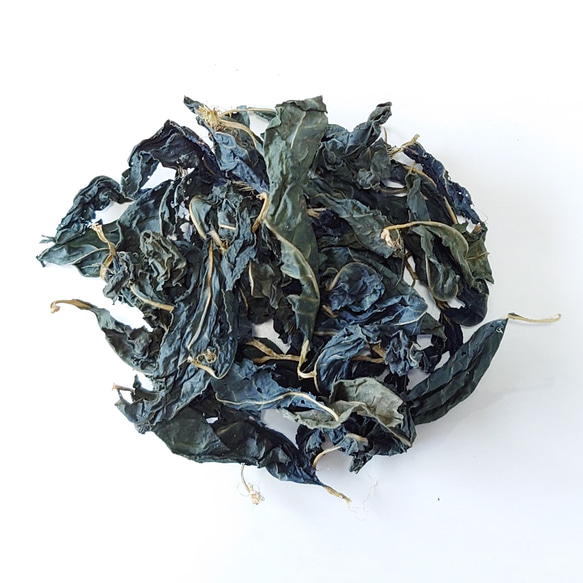 藍（タデアイ）乾燥藍葉（葉）50g ◆ 草木染（材料）天然・草木染植物染料 1枚目の画像