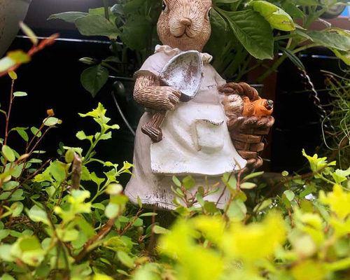 1fe900477906cca3f5ace16219fb0f