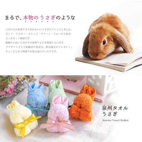 泉州タオル うさぎ 5個セット】 ハンドタオル ギフト かわいい