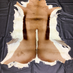 スプリングボック 毛付き革 インテリア、アウトドアにも その他素材