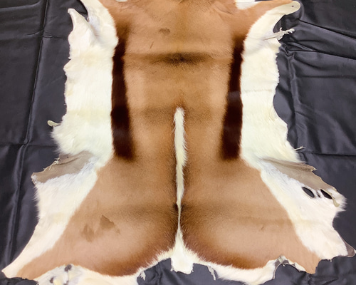 9c84bc90cfce211ba6894931a3634f