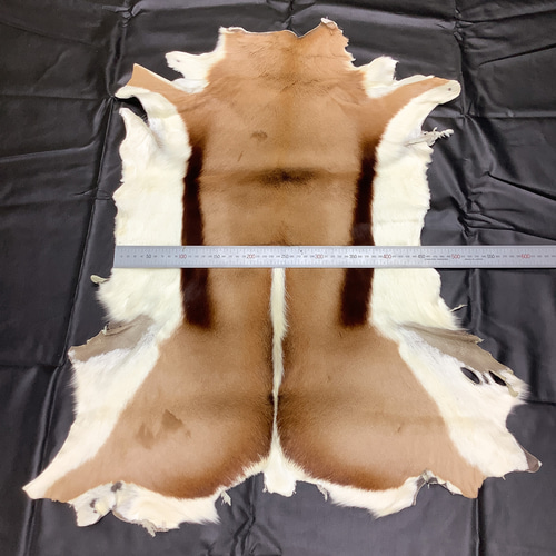 スプリングボック 毛付き革 インテリア、アウトドアにも その他素材