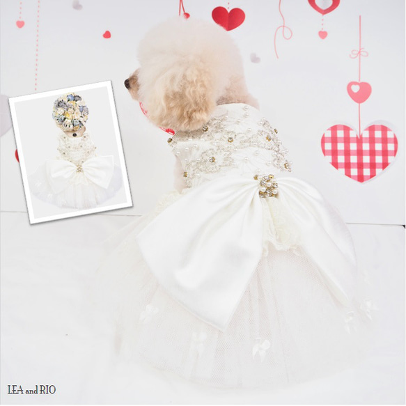 ドレス ワンピース ミニドレス レース 結婚式 イベント ウェディング ドックウェア 犬 猫 服 犬服 猫服 LB14 1枚目の画像