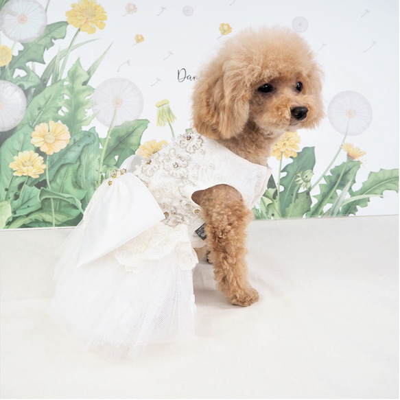 ドレス ワンピース ミニドレス レース 結婚式 イベント ウェディング ドックウェア 犬 猫 服 犬服 猫服 LB14 7枚目の画像