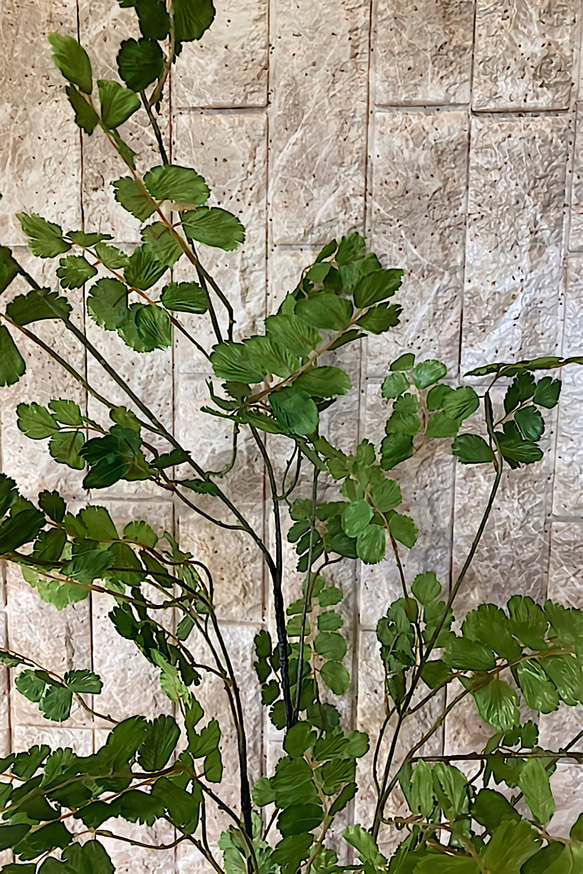 光触媒　人工観葉植物　ウンベラータグリーン　フェイク　フラワー　アジアンタム花器付 11枚目の画像