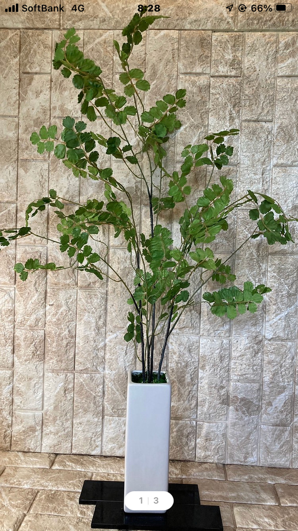 光触媒　人工観葉植物　ウンベラータグリーン　フェイク　フラワー　アジアンタム花器付 9枚目の画像