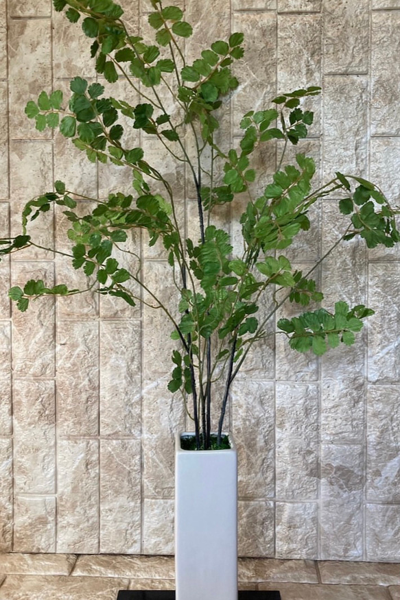 光触媒　人工観葉植物　ウンベラータグリーン　フェイク　フラワー　アジアンタム花器付 4枚目の画像