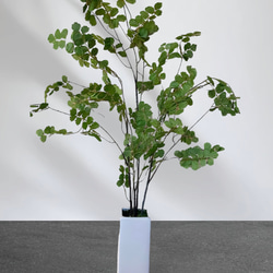 光触媒　人工観葉植物　ウンベラータグリーン　フェイク　フラワー　アジアンタム花器付 2枚目の画像