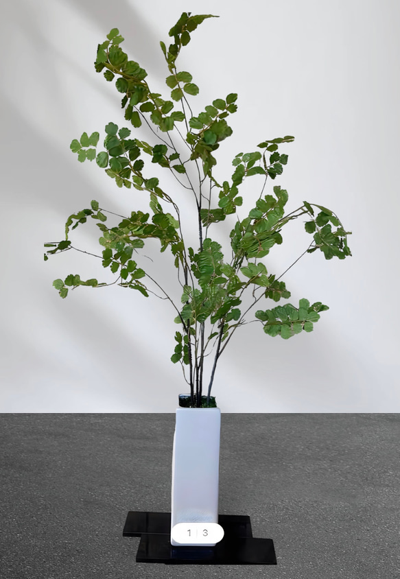 光触媒　人工観葉植物　ウンベラータグリーン　フェイク　フラワー　アジアンタム花器付 2枚目の画像