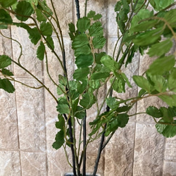 光触媒　人工観葉植物　ウンベラータグリーン　フェイク　フラワー　アジアンタム花器付 8枚目の画像